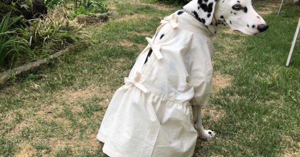 FuMa　犬服　エプロンドレス2着　ハンドメイド a29bbae7b3e9cbd14950f658d08594